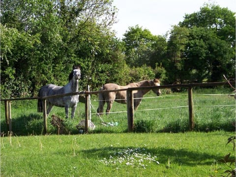 The Old Post Office Cottage Vacation rental in England
