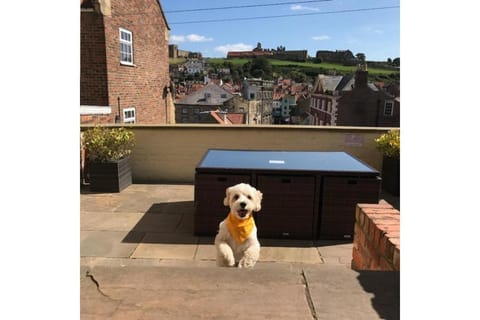 Pecks Cottage Vacation rental in England