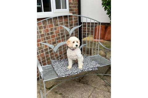 Paradise View Vacation rental in England