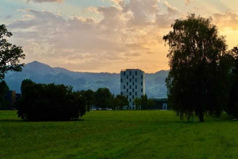 Amedia Lustenau, Trademark Collection by Wyndham Hotel in Vorarlberg, Austria