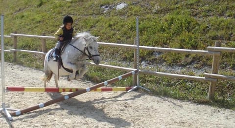 Résidence La Forêt Du Praz Vacation rental in Saint-Bon-Tarentaise