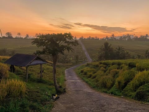 Bali Palms Vacation rental in East Selemadeg