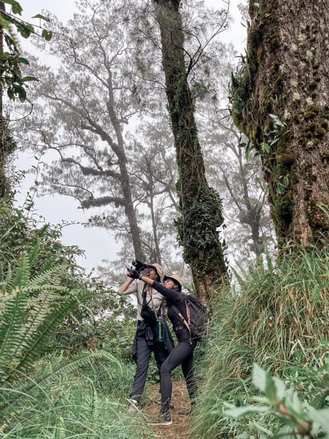 Bali Palms Vacation rental in East Selemadeg