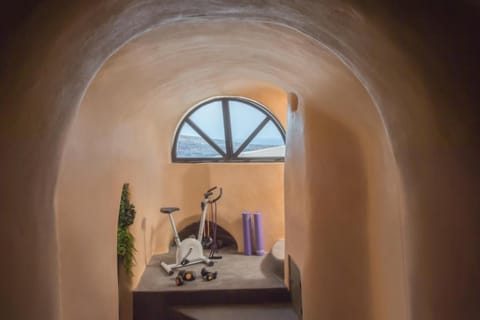 Sophia Privilege Villa in Oia