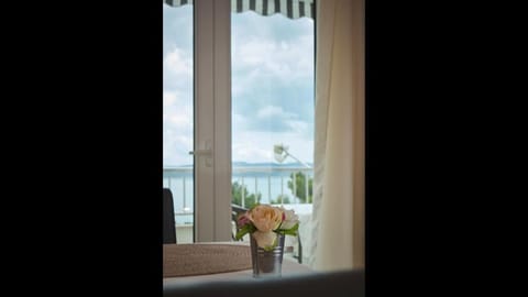 Apartment Studio with Sea view for 23 people Apartment in Baška Voda