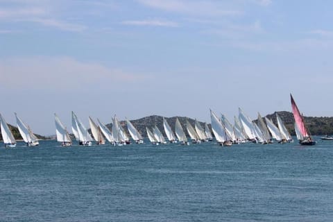 Apartment Vinci Kink size Deluxe Apartment in Murter