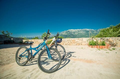 Villa Old Castle ♚ KING Apartment Apartment in Kotor Municipality