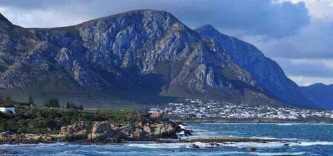 Oak at Hermanus Apartment in Hermanus