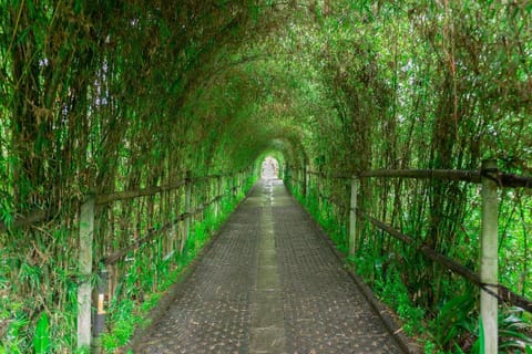 Prayatna Villas Bed and Breakfast in Tampaksiring