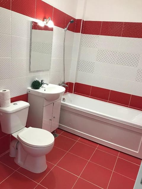 Apartment with 2 rooms, spacious and conformable. Apartment in Timisoara