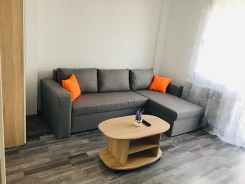 Apartment with 2 rooms, spacious and conformable. Apartment in Timisoara