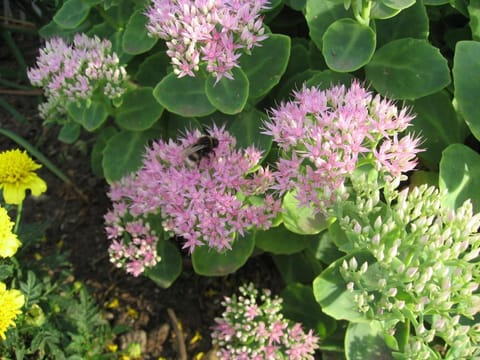 Charmantes Apartment in Jennewitz, in Ostseenahe Apartment in Mecklenburg-Vorpommern, Germany