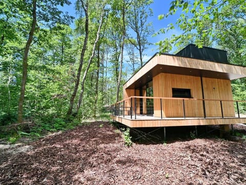 Lodge in Oignies Forest with Eco Design Vacation rental in Wallonia, Belgium