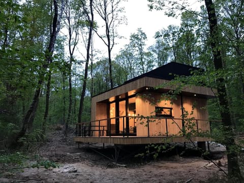 Lodge in Oignies Forest with Eco Design Vacation rental in Wallonia, Belgium