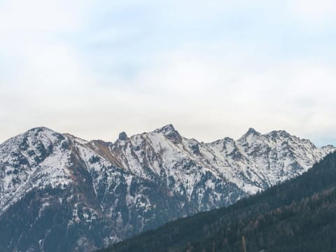 Chalet in Neukirchen with Mountain Views Apartment in Salzburgerland