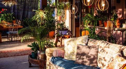 Ebonymoon Guest House and Studio Hotel in Western Cape