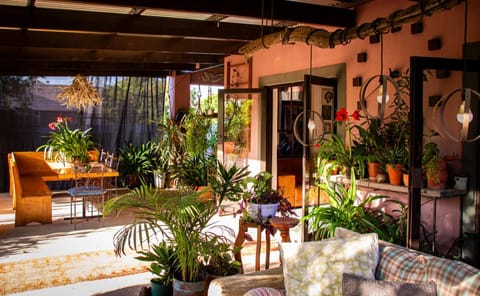 Ebonymoon Guest House and Studio Hotel in Western Cape