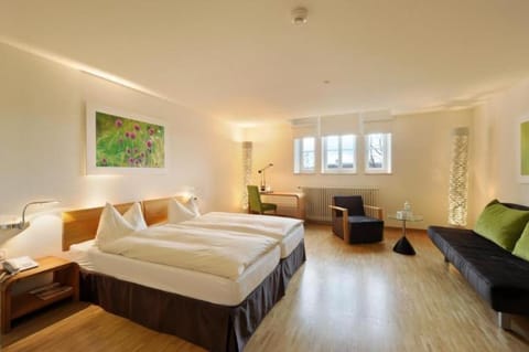 TOP Hotel ODELYA Hotel in Basel