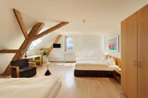 TOP Hotel ODELYA Hotel in Basel