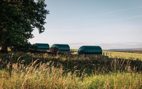 Cardross Estate Glamping Pods Campground/ 
RV Resort in Scotland