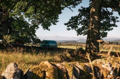 Cardross Estate Glamping Pods Campground/ 
RV Resort in Scotland