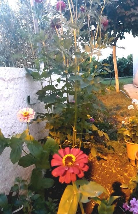 Cosy quiet house in Ksamil with spacious balcony. Vacation rental in Ksamil