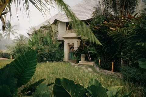 TheWakanda Resort A Pramana experience Resort in Blahbatuh