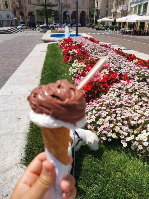 Vicky's homestay Sanremo - C. CITRA 008055-LT-1257 Apartment in Sanremo