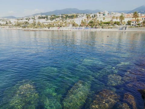 Vicky's homestay Sanremo - C. CITRA 008055-LT-1257 Apartment in Sanremo