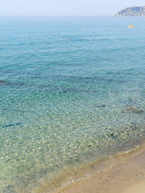 Vicky's homestay Sanremo - C. CITRA 008055-LT-1257 Apartment in Sanremo