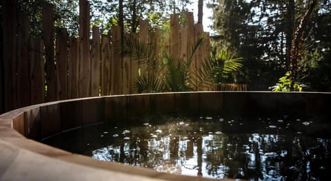 Bains de forêt - Lodge Cosy & Spa Hotel in Hauts-de-France