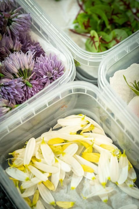 Hotel Post Andeer Hotel in Canton of Grisons