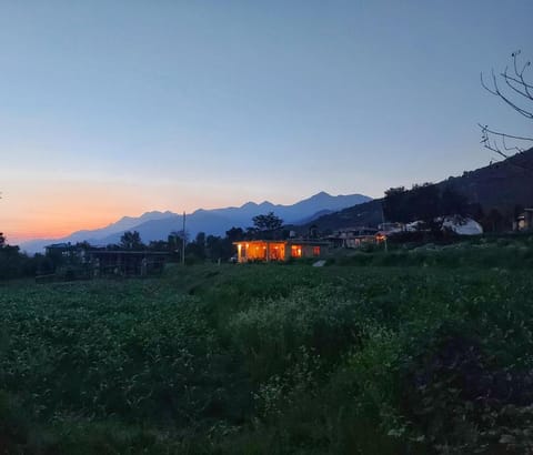 Property view