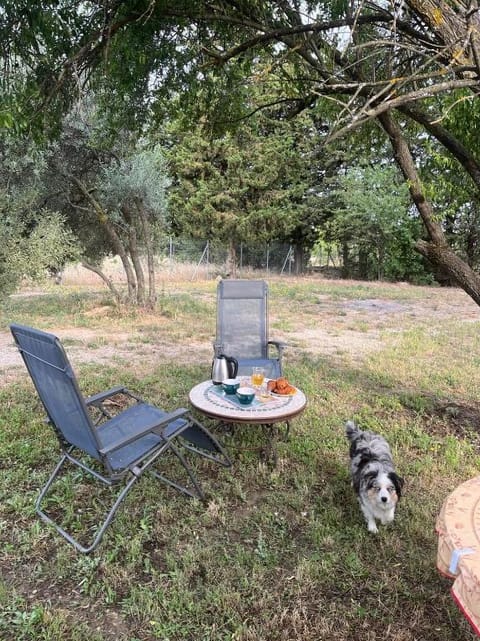 Gîtes Violettes et Amandier Vacation rental in Provence-Alpes-Côte d'Azur