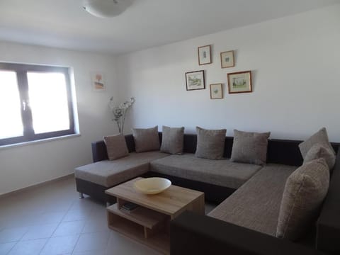 Modern island apartment with pool 80 meters from the sea A Apartment in Šibenik-Knin County, Croatia