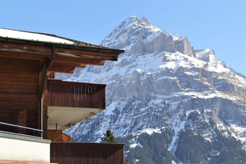 LODGE - Elements Lodge Lodge in Grindelwald