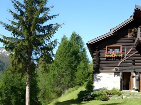 CHALET DEI FIORI Chalet in Canton of Ticino
