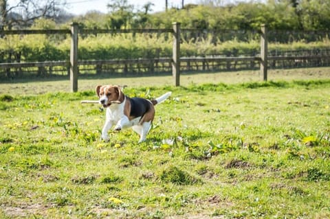 Primrose - 1 Bedroom Cottage - Llanteg Vacation rental in Amroth