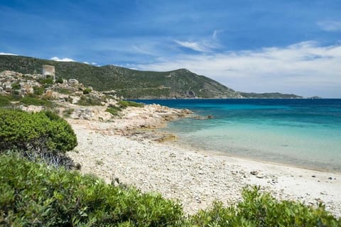 Sa Domu Sarda - Apartment with Garden Apartment in Sardinia