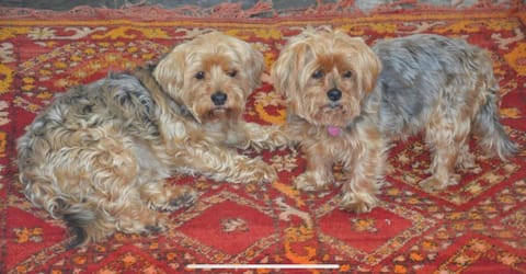 Cottage in Worcestershire Vacation rental in Evesham