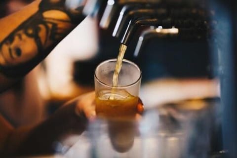 Wandering Trout - Gourmet Stays Lodge in Mole Creek