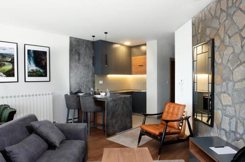 Zlatibor Residence & Suites Apartment in Zlatibor