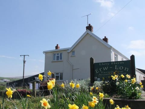 Erw-Lon Farm Farm Stay in Wales