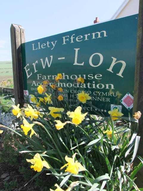 Erw-Lon Farm Farm Stay in Wales