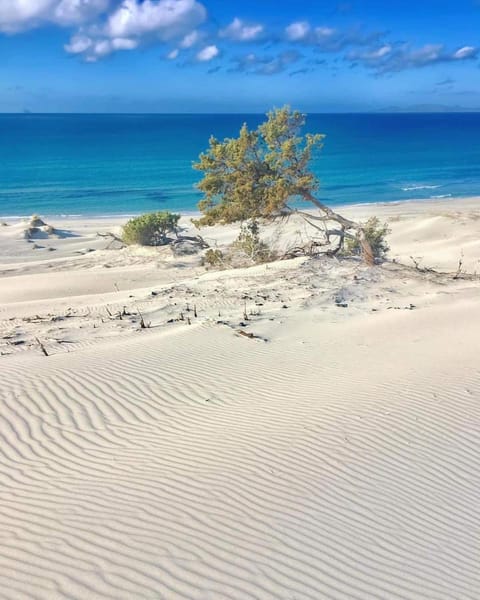 Il Sogno Casa Vacanze 2 Vacation rental in Sardinia