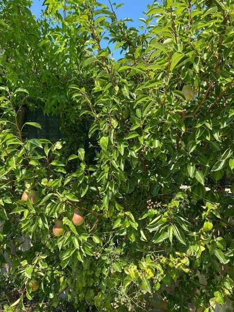 Balay Famiglia: The Perfect Oasis in Lago di Garda Apartment in Manerba del Garda