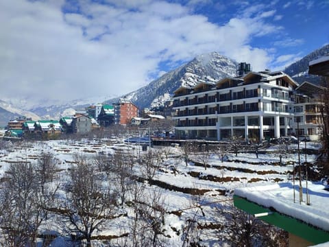 Property view