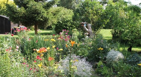Gemutliche Ferienwohnung mit Garten in Walkendorf Apartment in Mecklenburgische Seenplatte