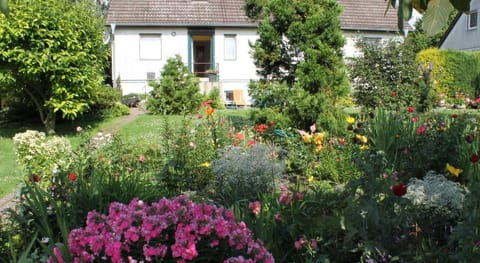 Gemutliche Ferienwohnung mit Garten in Walkendorf Apartment in Mecklenburgische Seenplatte