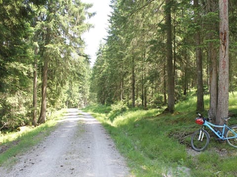 Alpenapartment mit Garten Apartment in Schwangau